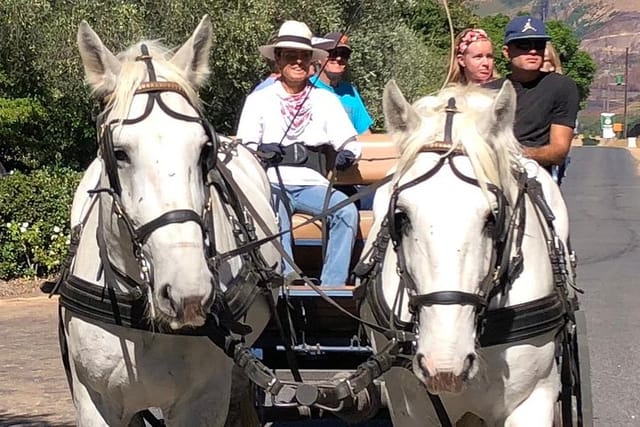 1h30m – Wine Tasting Carriage Trail - Photo 1 of 11